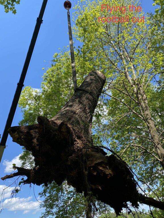 Cowart Tree Service LLC