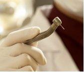 Advanced Dental Care