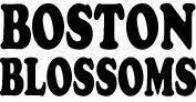 Boston Blossoms