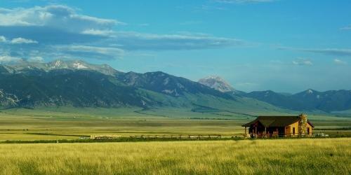 Back 40 Land Management