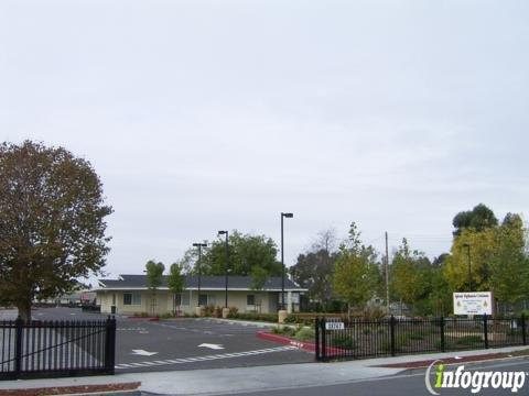 Iglesia Montes De Los Olivos