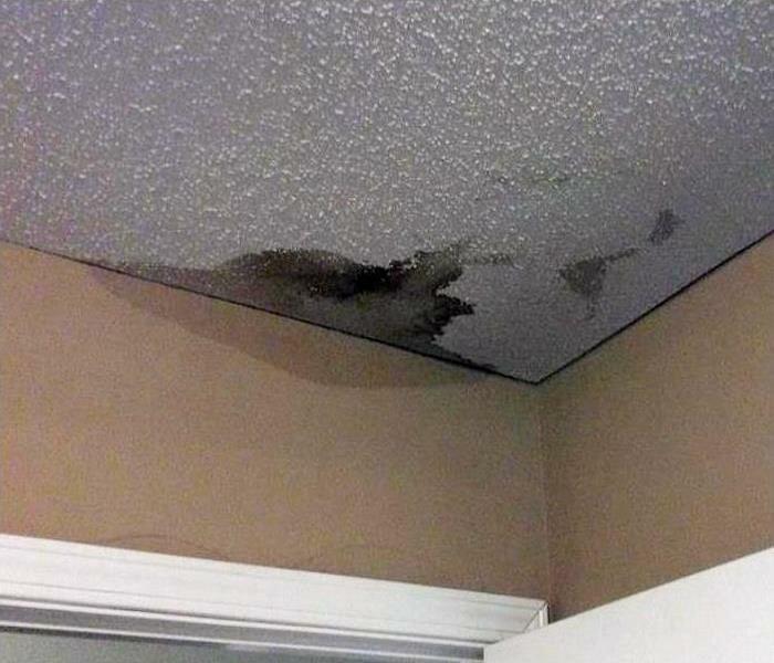 SERVPRO of Bristol