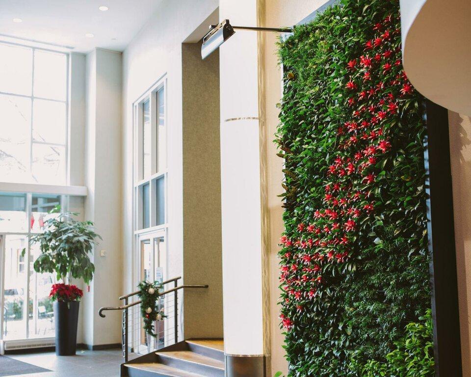 Interior Plantscapes LLC