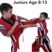 Ultimate Success Karate