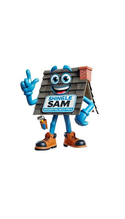 Residential Roof Pros