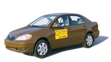 Economy Exterminators