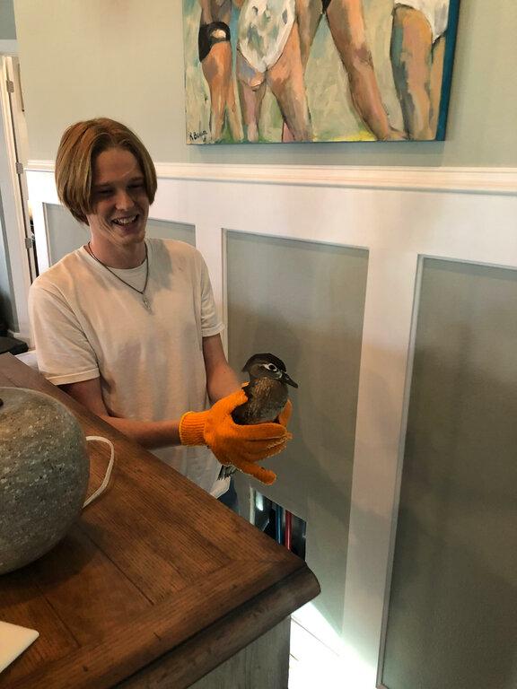 Affordable Rodent & Animal Removal