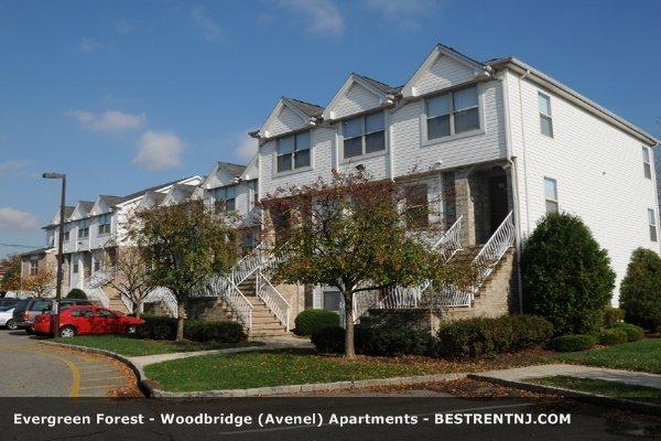 Evergreen Forest Apartments