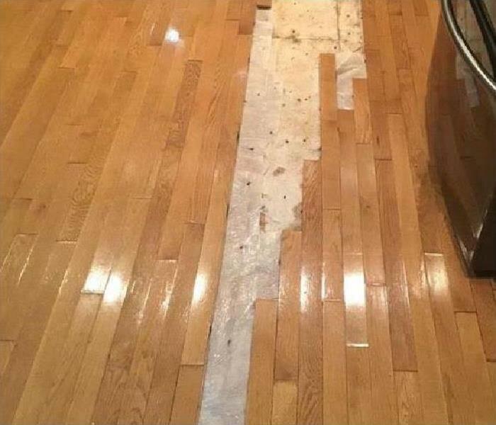 SERVPRO of Newington / Central Hartford