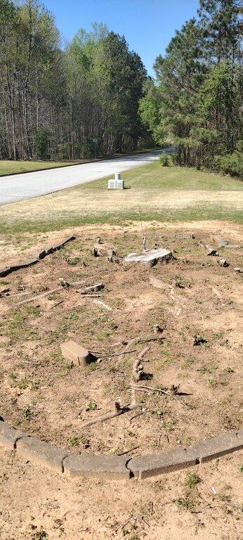 Cooleys Stump Grinding