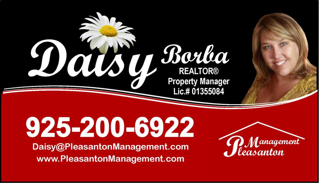 Pleasanton Properties