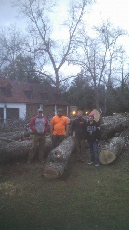 Benton Tree Service
