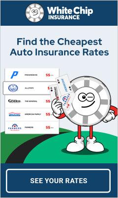 White Chip Insurance Dunedin