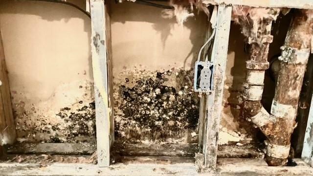 Idry Columbus-Water Damage Cleanup