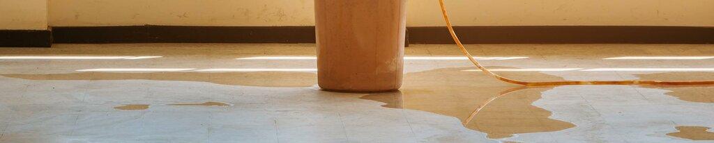 Young's ServiceMaster