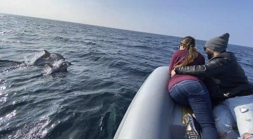 Off the Grid Private Boat Adventures