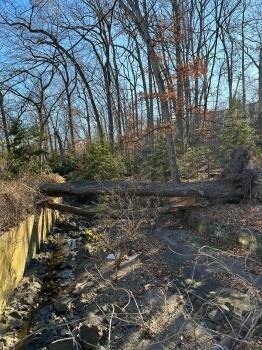 United Tree Care LLC