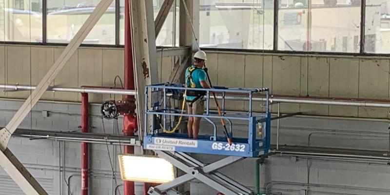 Pollywog Pressure Washing