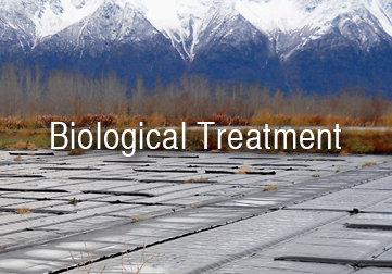 Lemna Environmental Technologies