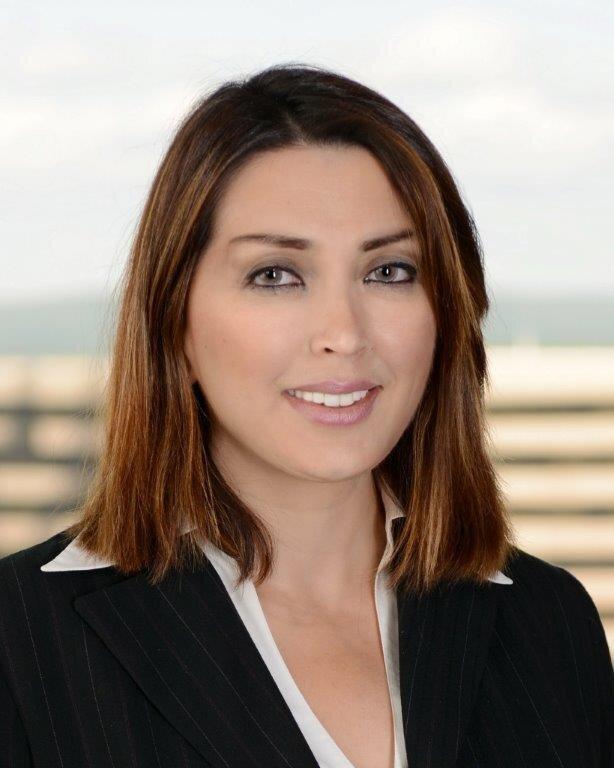 Merrill Lynch Financial Advisor H Gul Aslan