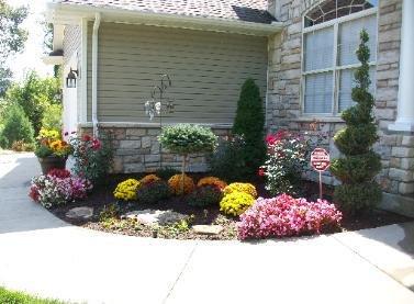 Specialty Water Gardens & Landscapes