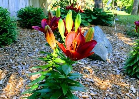 4 Seasons Property Maintenance