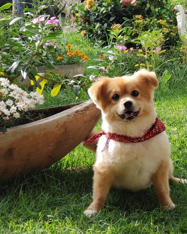 High Point Veterinary Hospital