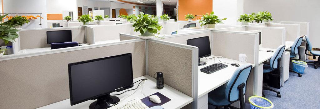 J & V Janitorial & Maintenance Services