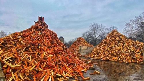Lumberjacks