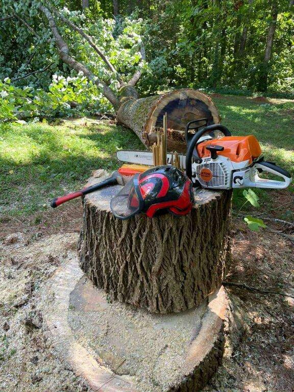 Warrior Tree Service LLC