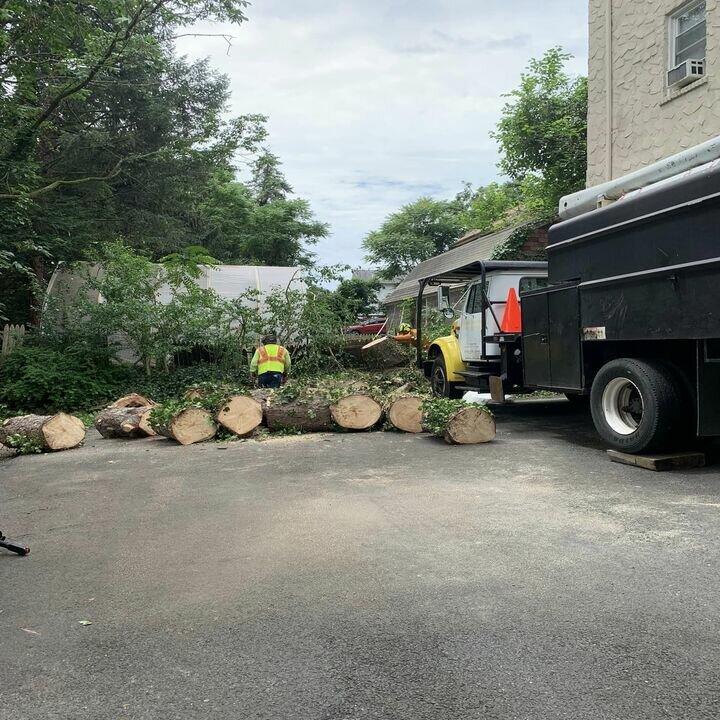 McGreenfield Tree & Landscape Service LLC