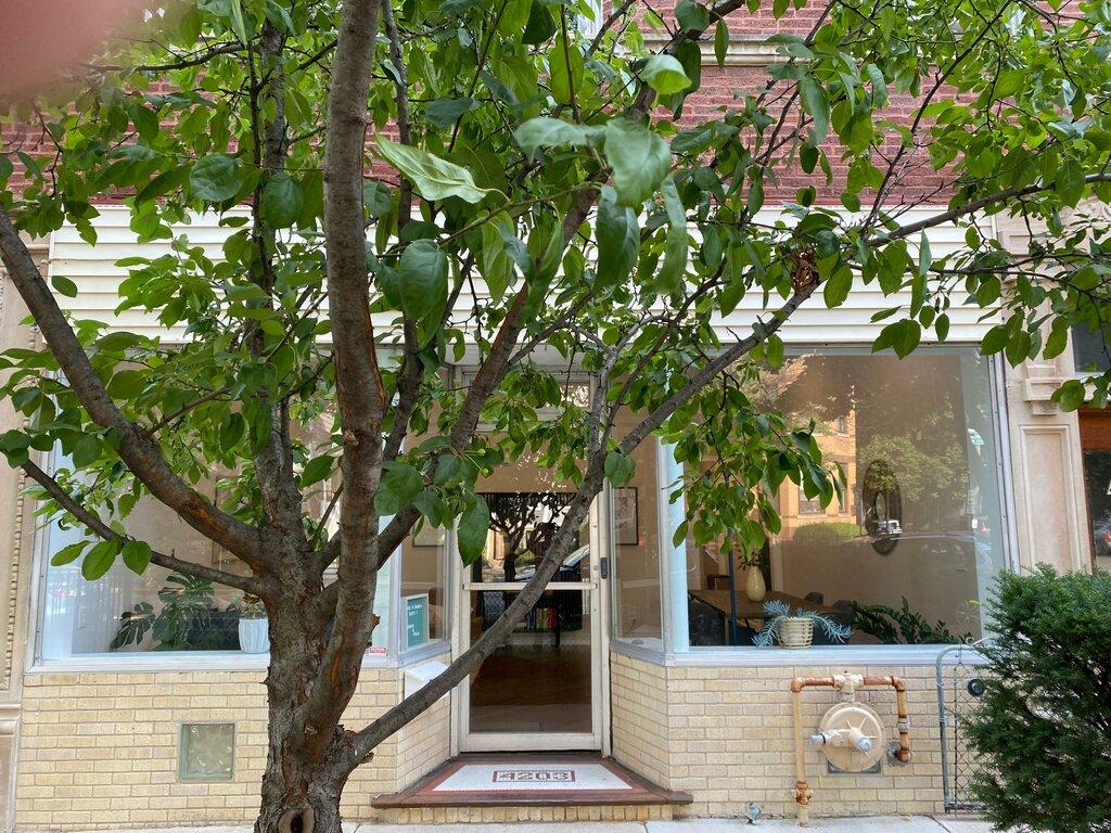 Reclaim Counseling and Consulting