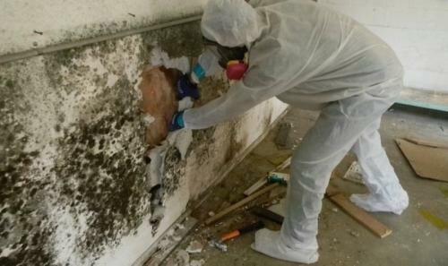 ECO Restoration & Cleaning Services