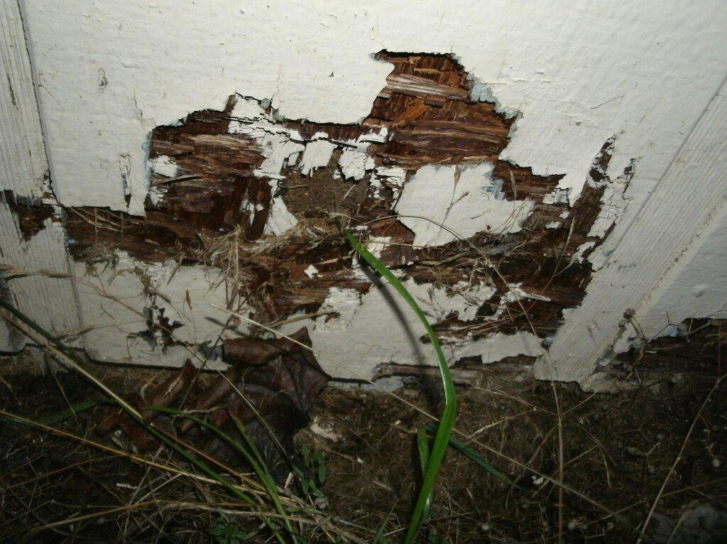 All About Home Inspections LLC