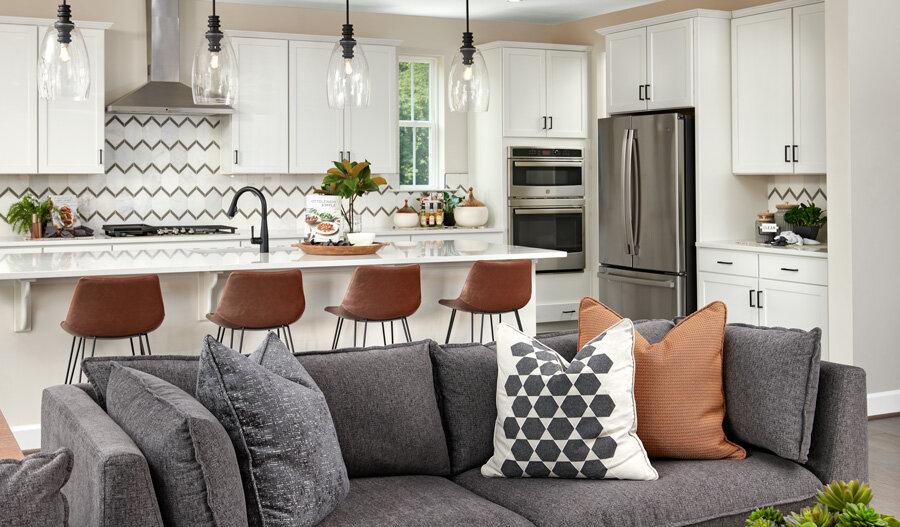 Cityscape at Parkdale By Richmond American Homes