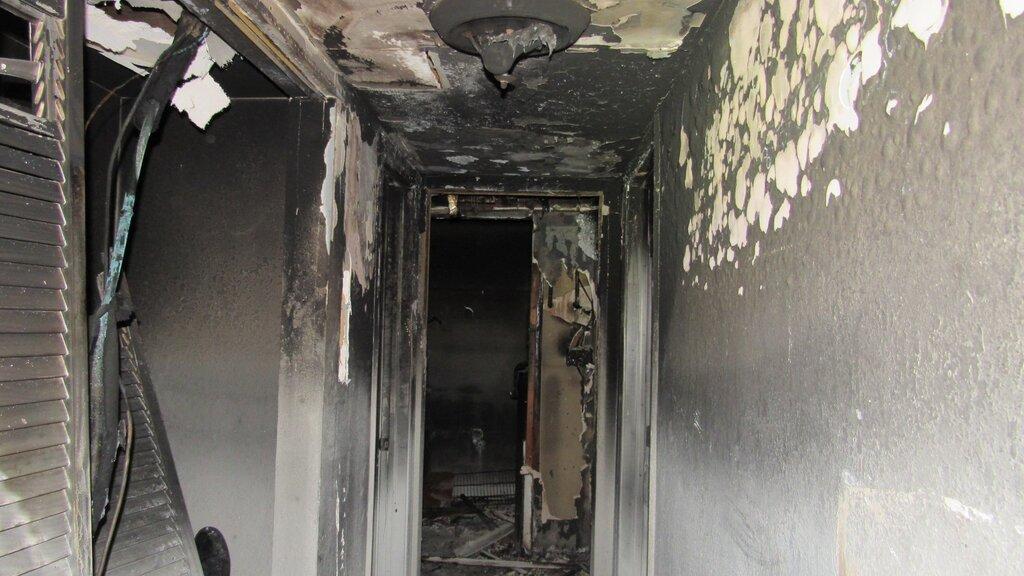 David William & Assoc LLC