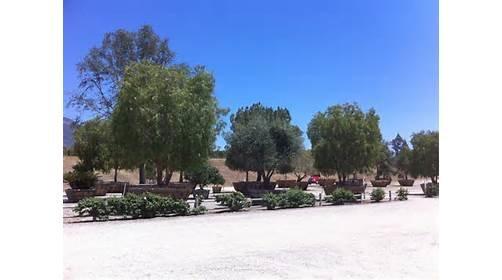 BrightView Tree Company