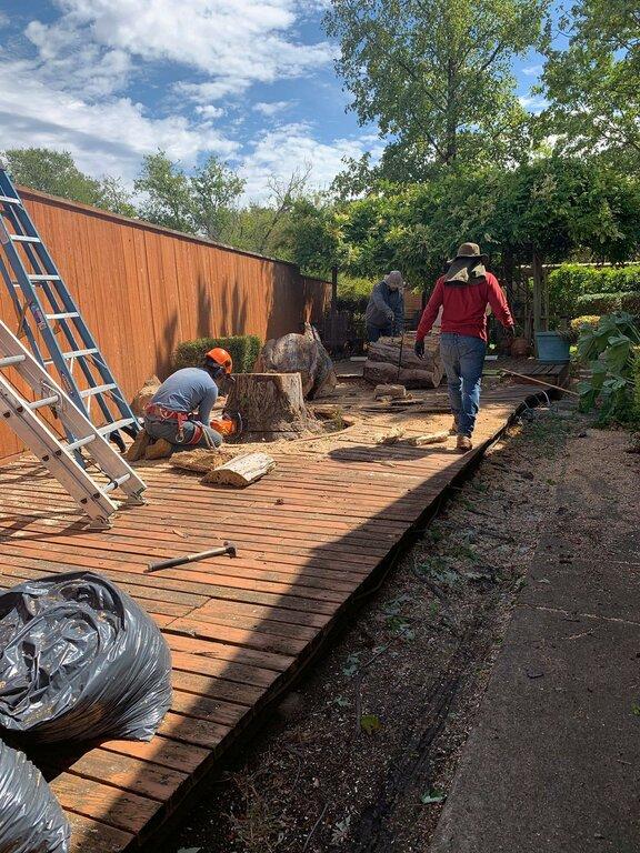 J Perez Tree Service