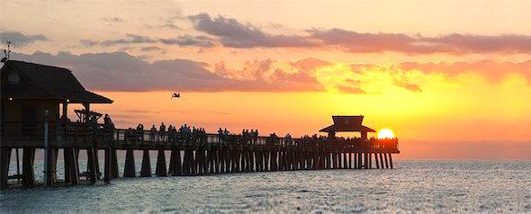 Golden Property Management and Home Watch Services