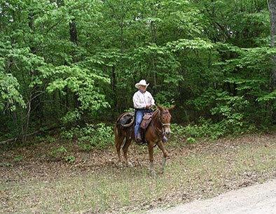 Ron Gregory Realty & Auction Inc