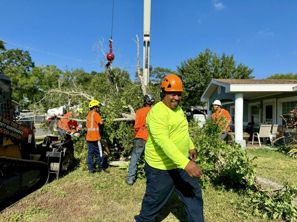 All Your Way Lawn, Trees and Property Maintenance