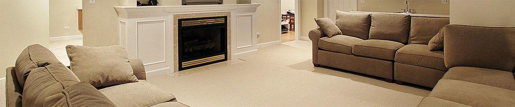 Force Basement Solutions