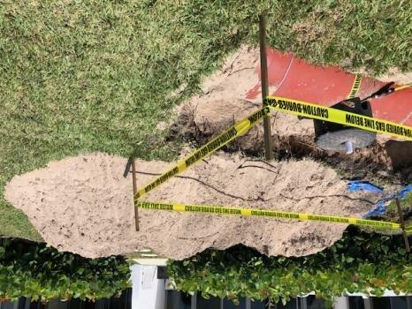 Blue Flame Professional Services