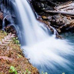 Pacific Coast Carbon LLC