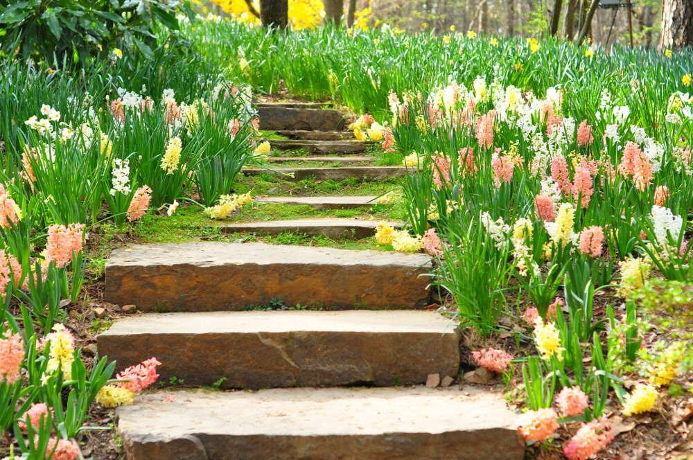 Mill Pond Village Mobile Home & R.V. Park