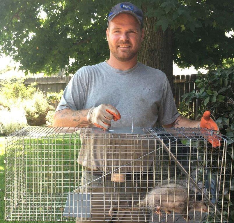 All Star Animal Trapping