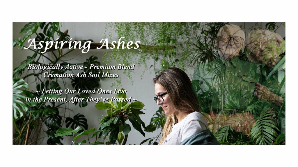 Aspiring Ashes