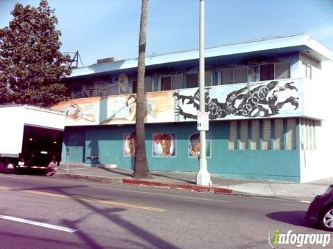 Youth Emerging Stronger