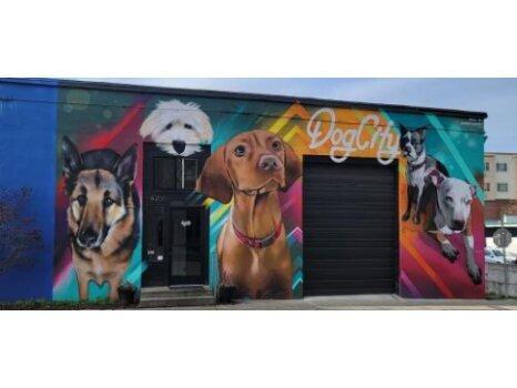 Dogcity - Daycare + Grooming