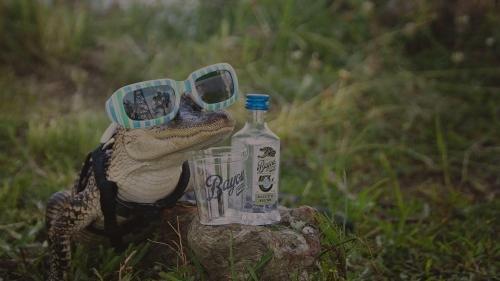 Jeff Davis Parish Tourist Commission